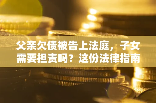 武汉父亲欠债被告上法庭，子女需要担责吗？这份法律指南必须看完