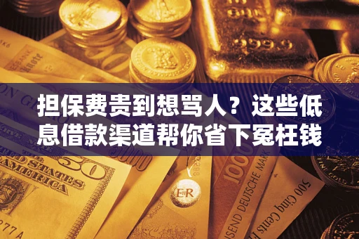 武汉担保费贵到想骂人？这些低息借款渠道帮你省下冤枉钱