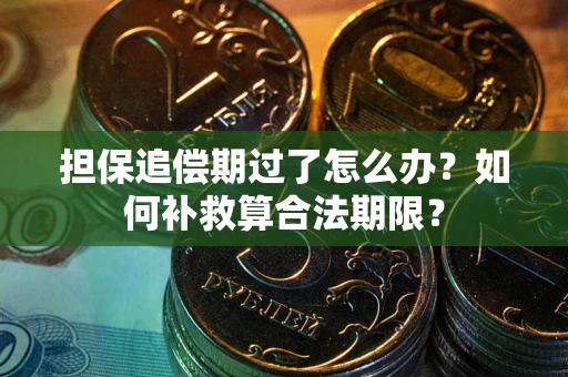 武汉担保追偿期过了怎么办？如何补救算合法期限？