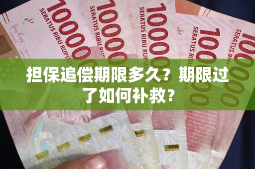 武汉担保追偿期限多久？期限过了如何补救？