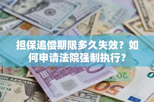 武汉担保追偿期限多久失效？如何申请法院强制执行？