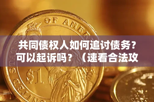 武汉共同债权人如何追讨债务？可以起诉吗？（速看合法攻略）